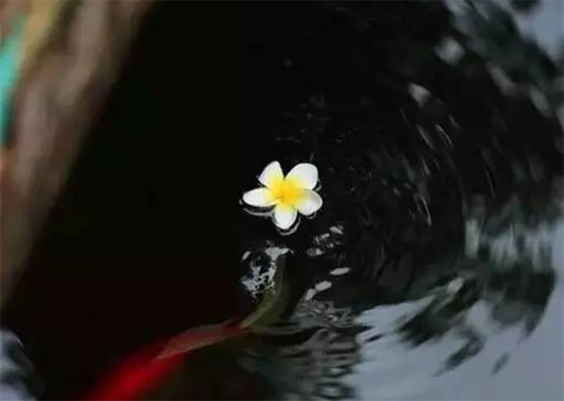 微信截圖_20170621100439